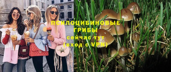 крисы Беломорск