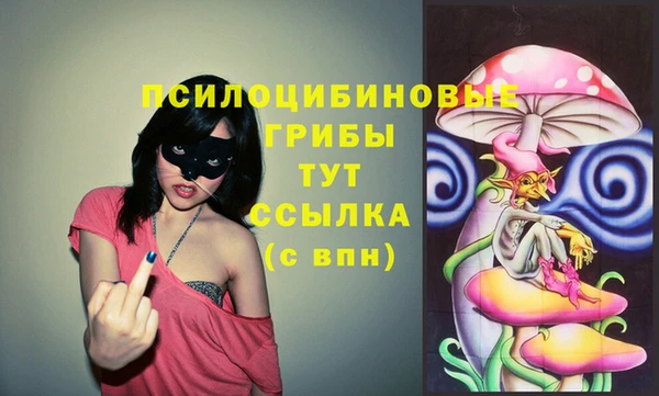 крисы Беломорск