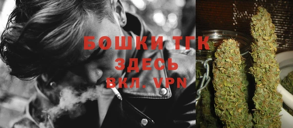 ПСИЛОЦИБИНОВЫЕ ГРИБЫ Белоозёрский