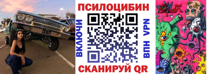 shop клад  Кольчугино  Галлюциногенные грибы Psilocybine cubensis 