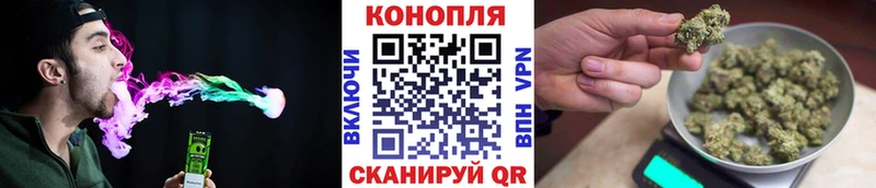 Бошки Шишки тримм  гидра как войти  Кольчугино 